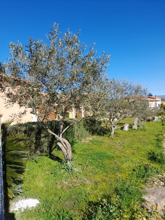 Agriturismo La Stragola نيقوسيا المظهر الخارجي الصورة